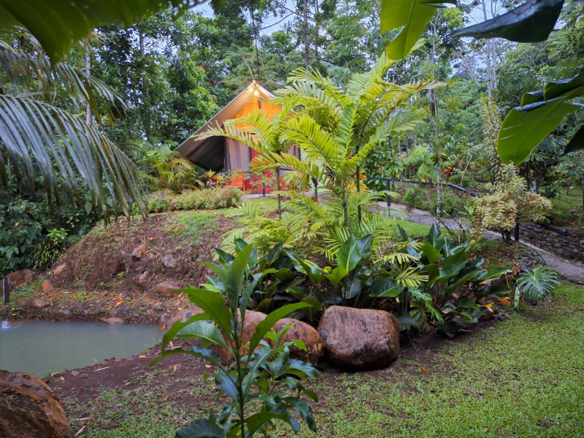 Guapote Lodge La Tigra  Rum bild