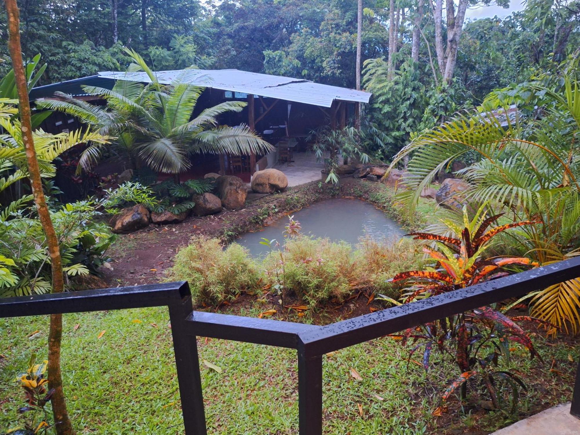 Guapote Lodge La Tigra  Rum bild