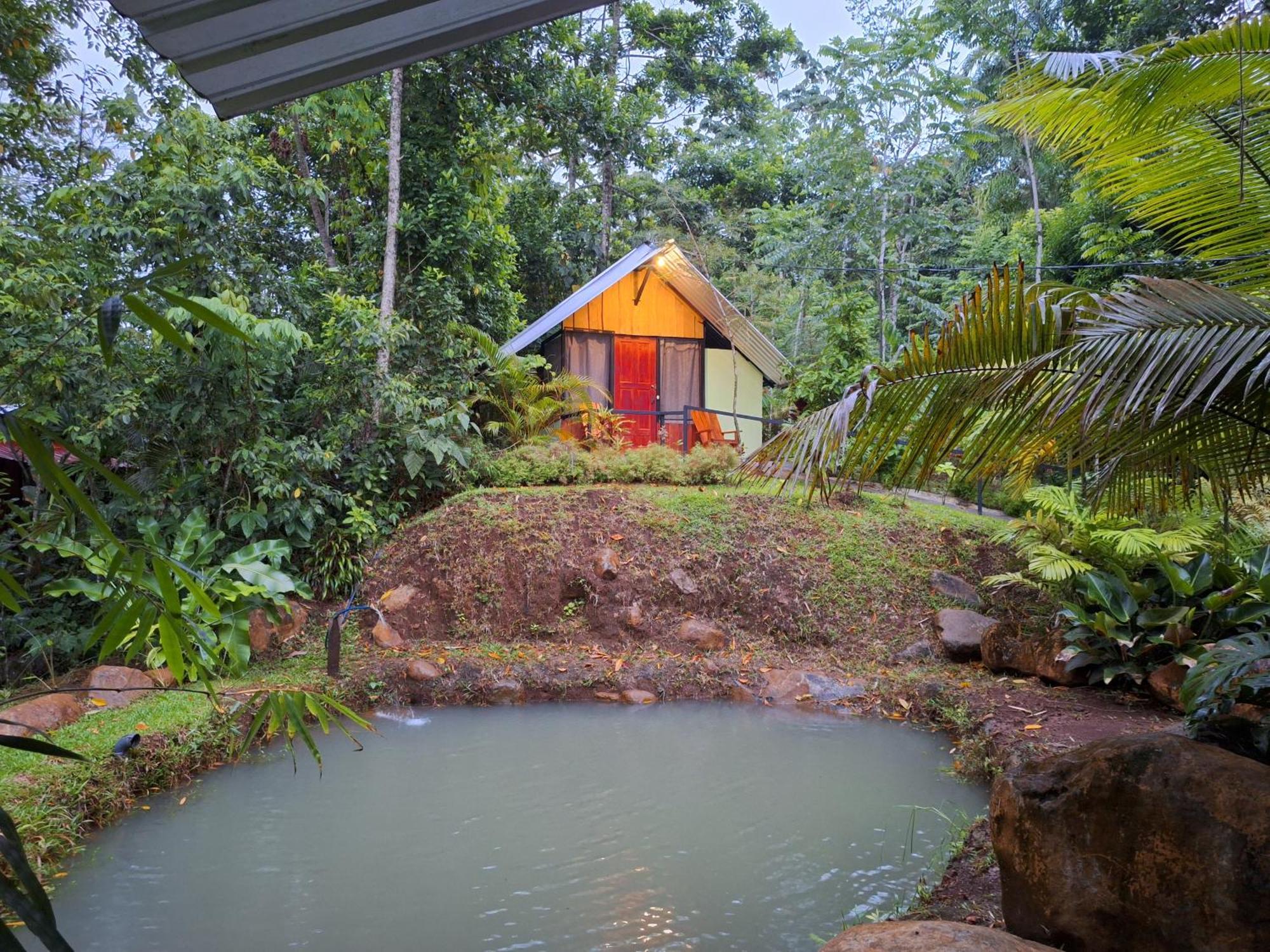 Guapote Lodge La Tigra  Rum bild