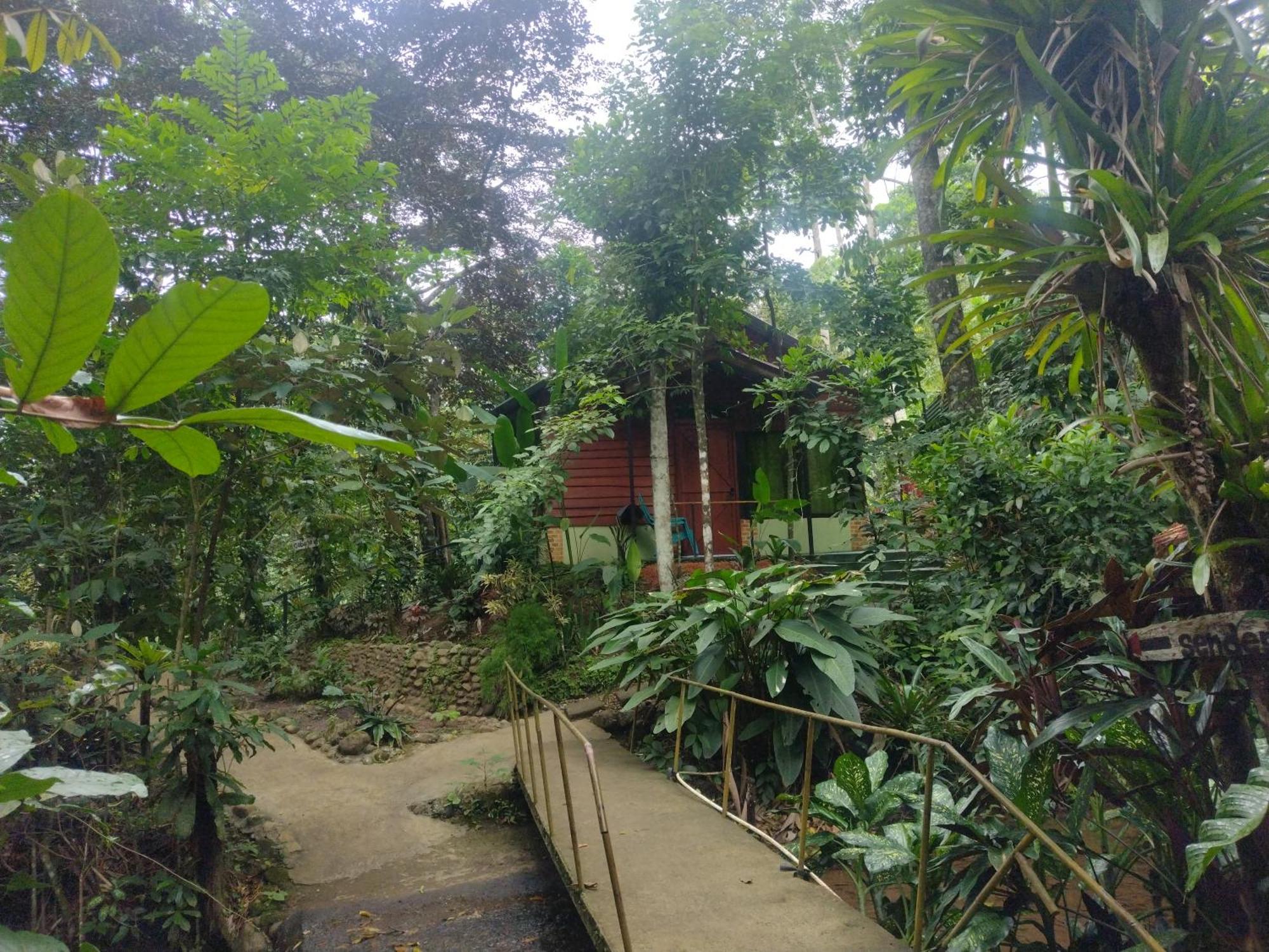 Guapote Lodge La Tigra  Rum bild