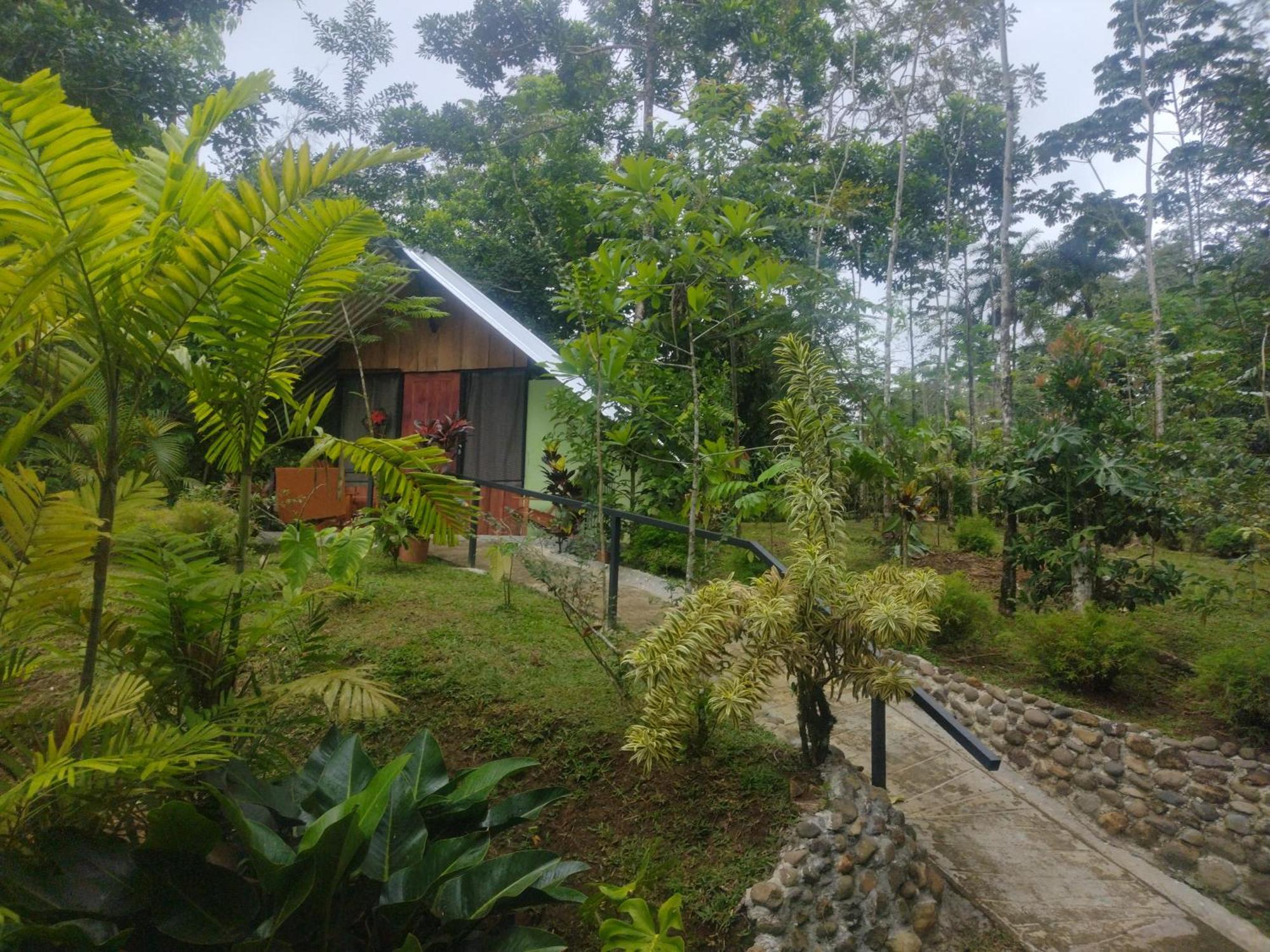 Guapote Lodge La Tigra  Rum bild