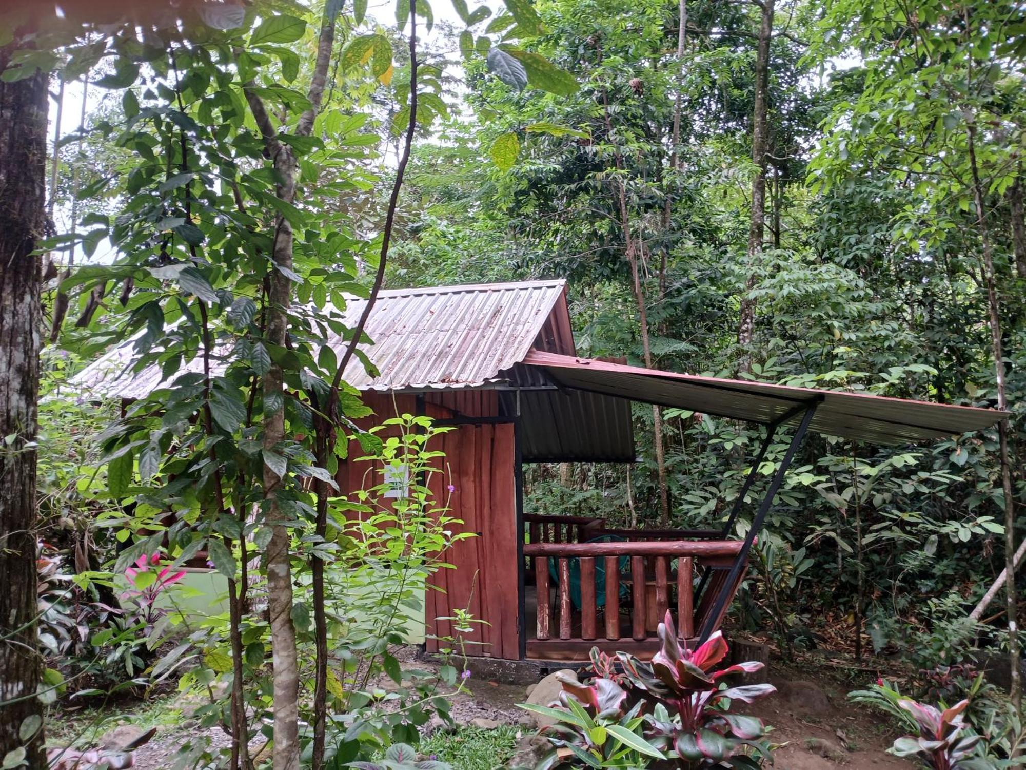 Guapote Lodge La Tigra  Rum bild