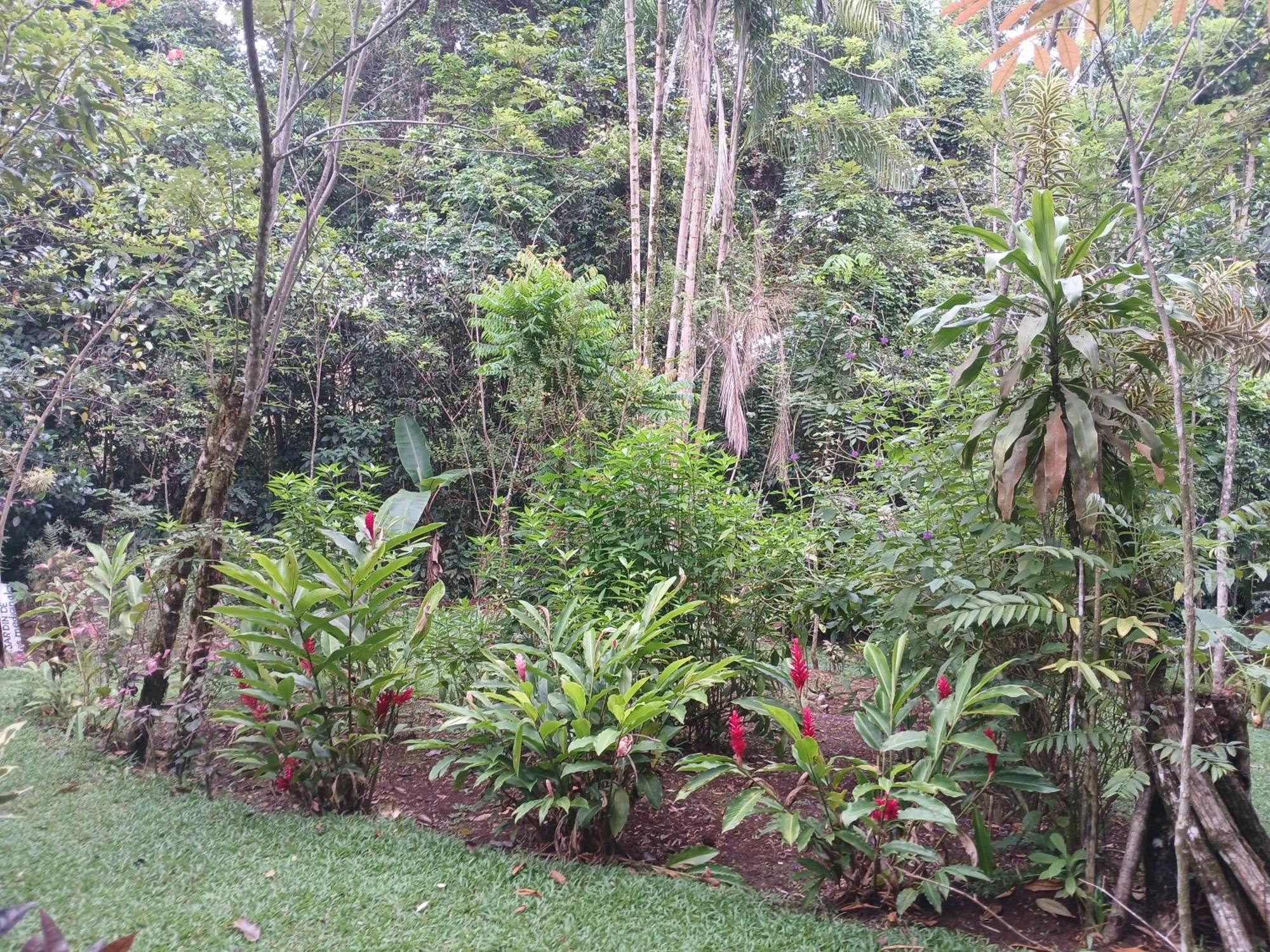 Guapote Lodge La Tigra  Rum bild